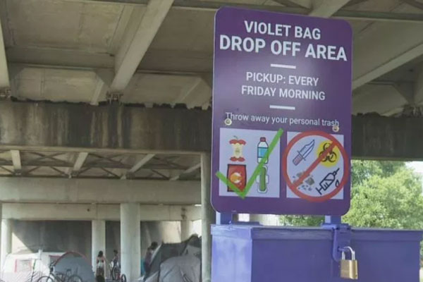 Pilot of Violet Bags